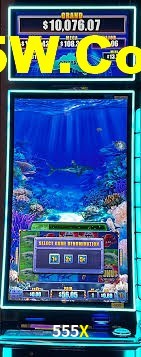 Ofertas Imperdíveis na 555X: Promoções e Bônus Que Valem a Pena