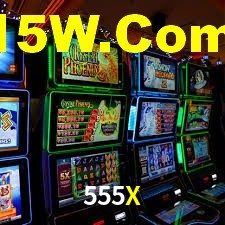 Premium Interface 555X